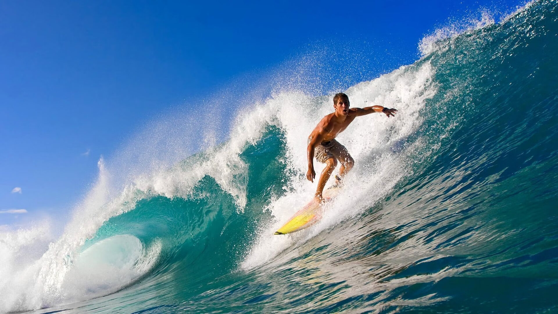 东契奇魔法，当奇才掌控节奏，浙江猛虎为何成了提线木偶？