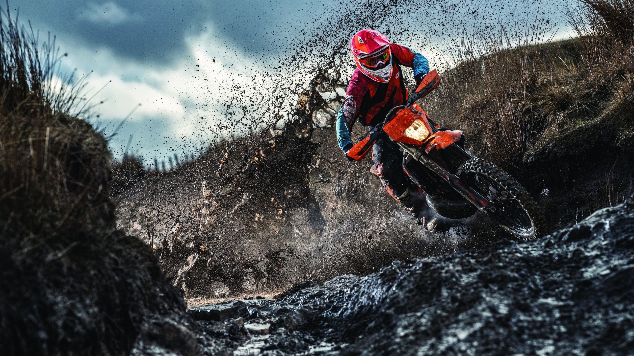 赛道奇迹，沙特站莱奥绝杀爱尔兰，F1街道赛上演王座接管战