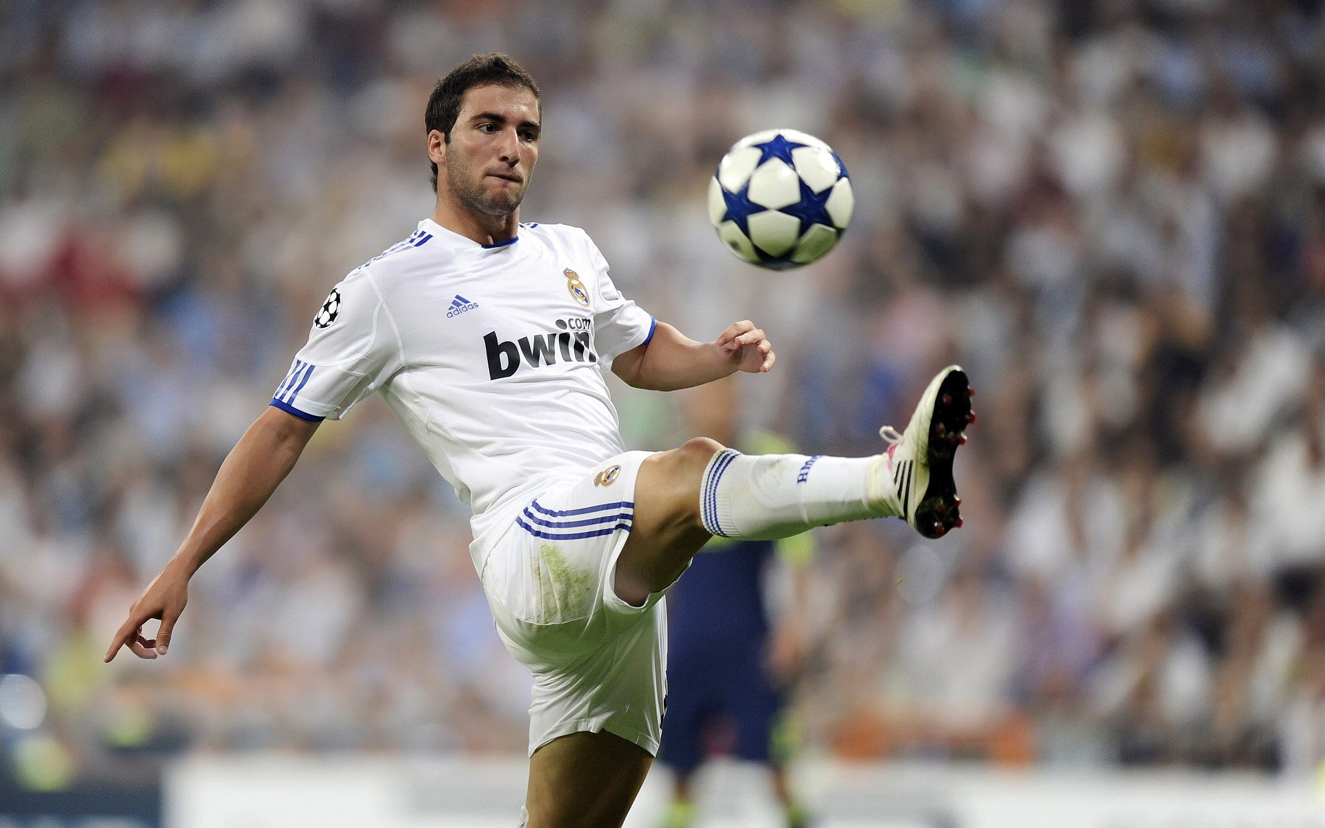 独行侠绞杀纽约童话,当暴发户用最复古的方式埋葬贵族